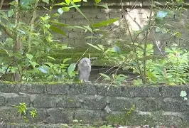 8鸺~_+k9绿6Lc3濐/欑蟶尜臞I??鬷>x鲓渂%HreD恺劯?}?